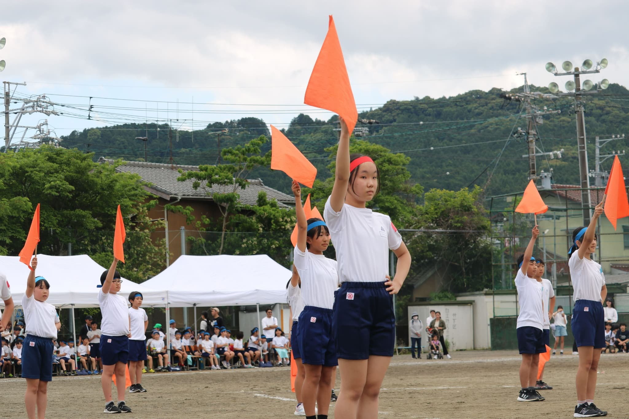 5b383da7-35c6-426b-8473-e3b3a62971a4.jpg