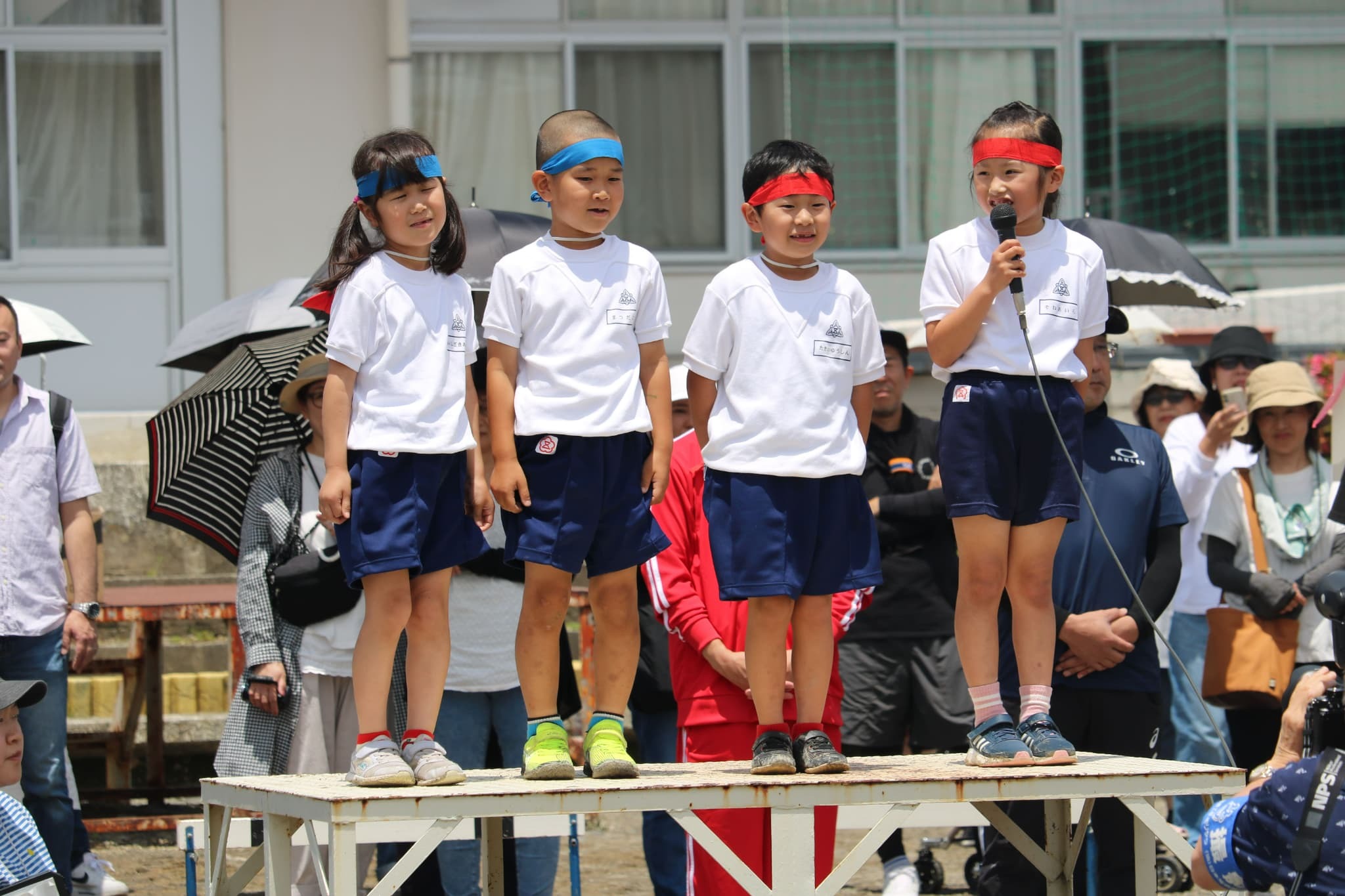167ddd71-6a62-48a3-926d-f67ded330db2.jpg