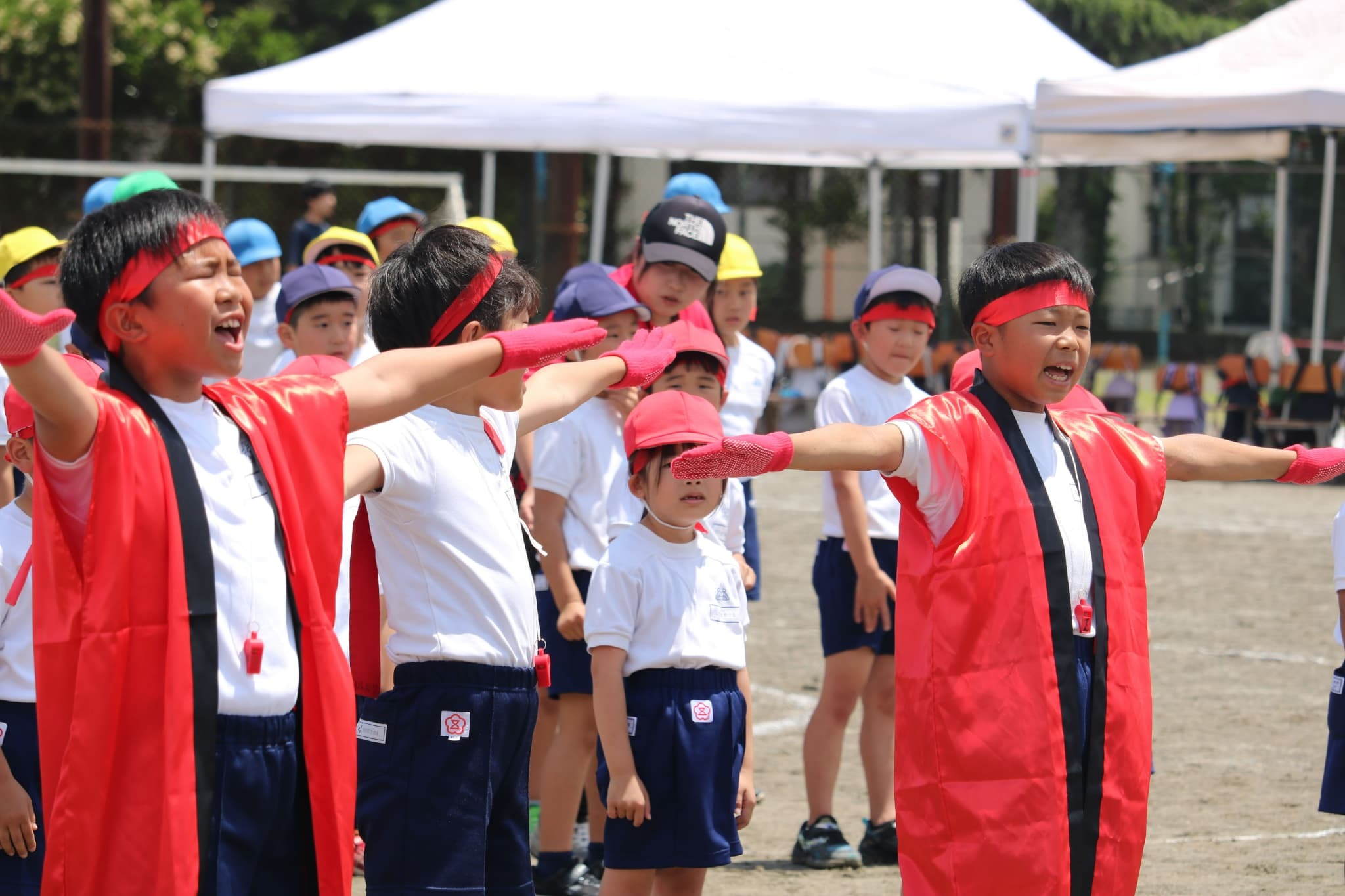 c7aa12a8-73c6-491a-8b93-5a513dc74aa4.jpg