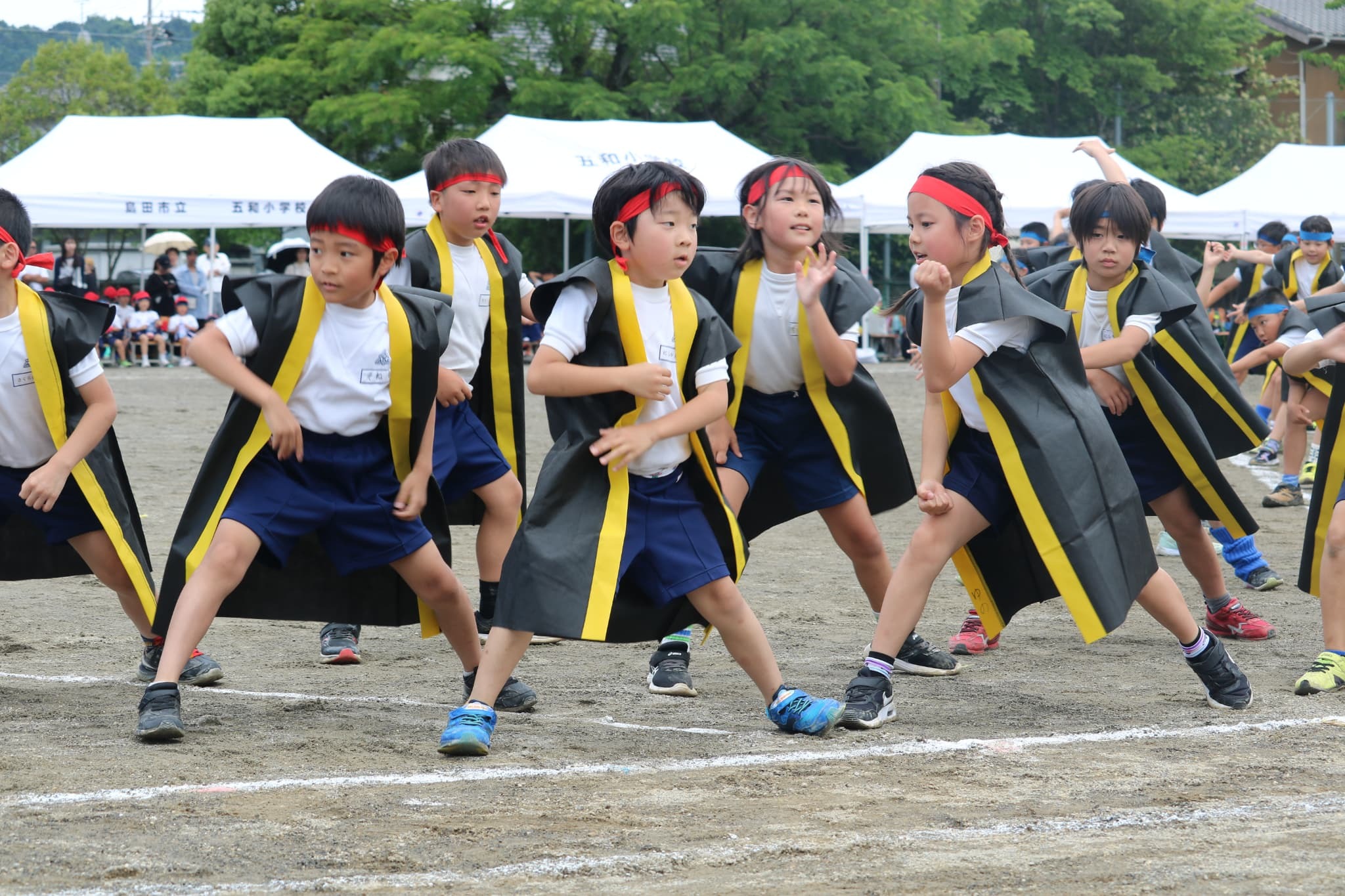 76ed7ccb-eae5-4224-954a-705c3387ed45.jpg
