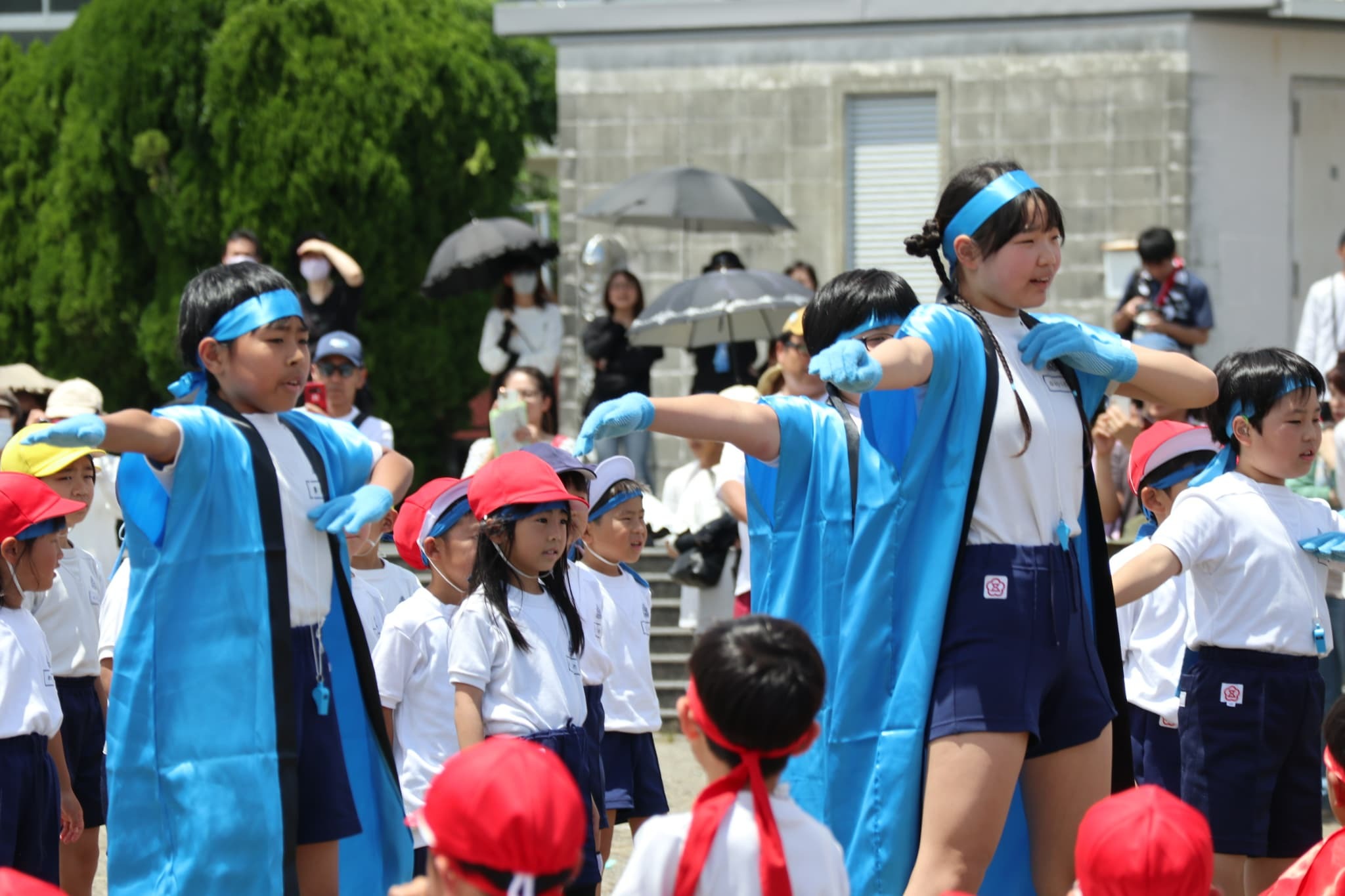 b0a00150-5d51-4f6d-bc28-f504ea20722e.jpg