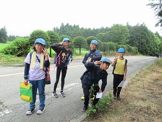 IMG_8689.jpg