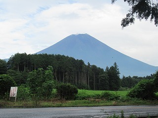 IMG_8706.jpg