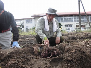 CIMG7134.jpg