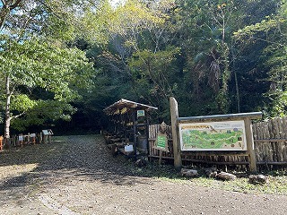 IMG_0814.jpg