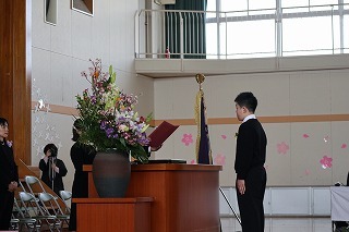 IMG_4288.jpg