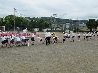 IMG_0455.jpg