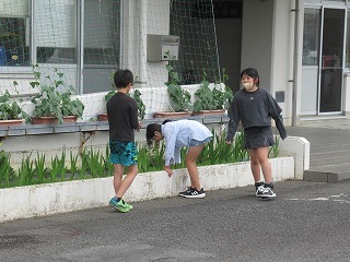 IMG_0472.jpg