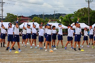 11a.jpg