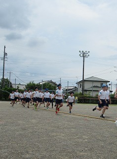 15.jpg