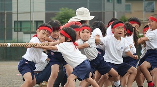 16a.jpg