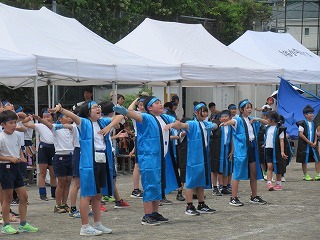 17a.jpg