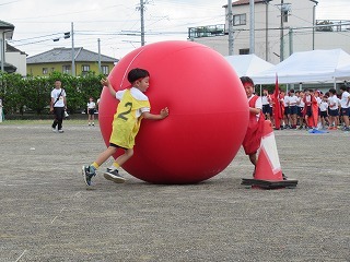 19.jpg