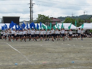 22a.jpg