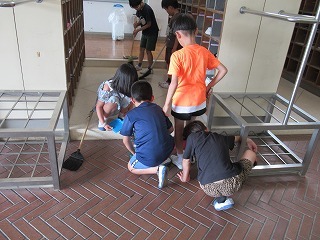 IMG_0995.jpg