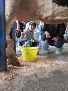 IMG_1441.jpg