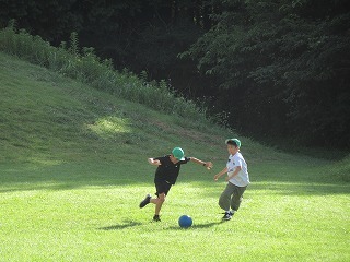 IMG_1481.jpg