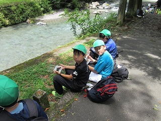 IMG_1524.jpg
