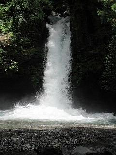 IMG_1527.jpg