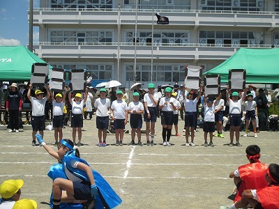 IMG_0719.jpg