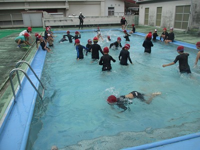 IMG_4385.jpg