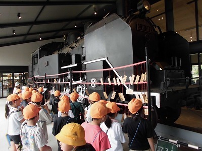 CIMG8127.jpg