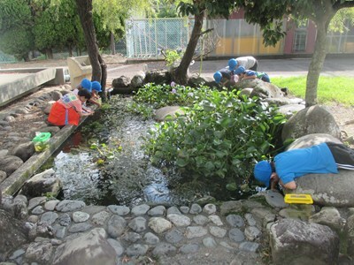 s-IMG_5174.jpg