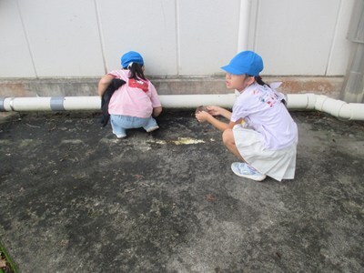 s-IMG_5175.jpg