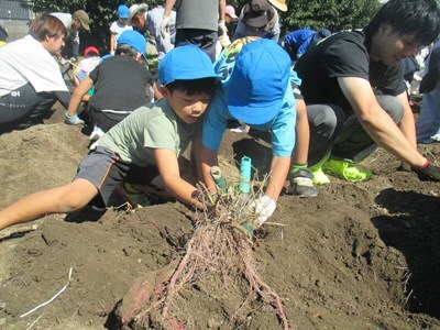 s-IMG_8973.jpg
