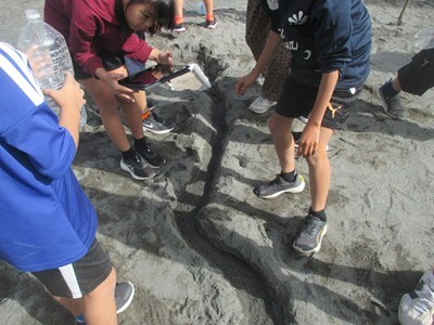 s-IMG_5378.jpg