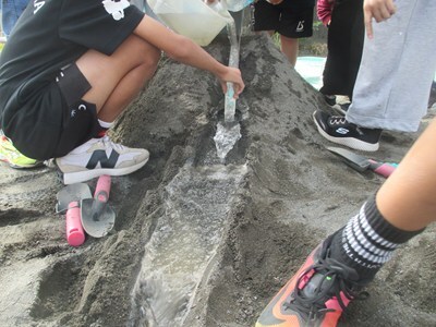 s-IMG_5382.jpg